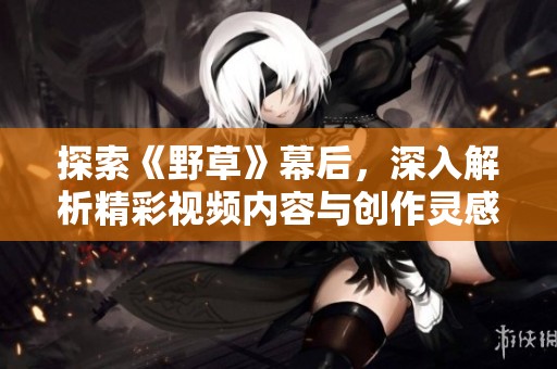 探索《野草》幕后，深入解析精彩视频内容与创作灵感