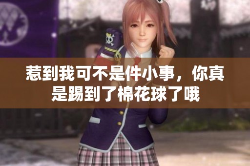 惹到我可不是件小事，你真是踢到了棉花球了哦