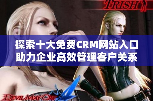 探索十大免费CRM网站入口助力企业高效管理客户关系