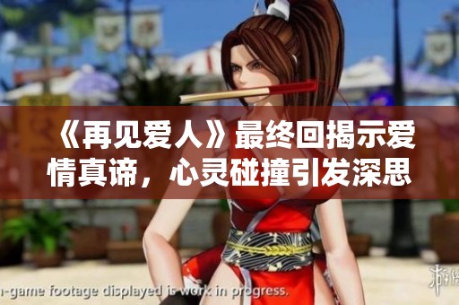 《再见爱人》最终回揭示爱情真谛，心灵碰撞引发深思与共鸣
