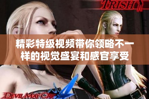 精彩特级视频带你领略不一样的视觉盛宴和感官享受