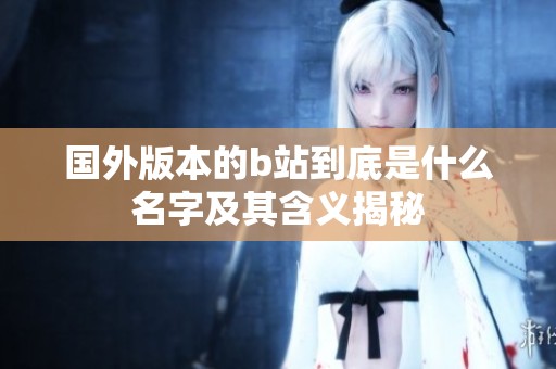 国外版本的b站到底是什么名字及其含义揭秘