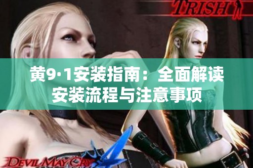 黄9·1安装指南：全面解读安装流程与注意事项