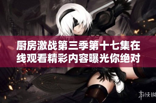 厨房激战第三季第十七集在线观看精彩内容曝光你绝对不容错过