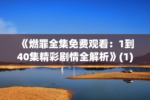《燃罪全集免费观看：1到40集精彩剧情全解析》(1)