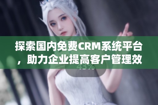 探索国内免费CRM系统平台，助力企业提高客户管理效率