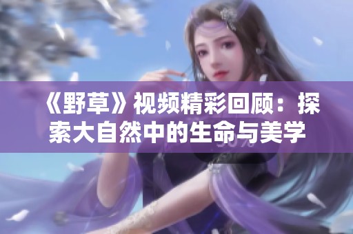 《野草》视频精彩回顾：探索大自然中的生命与美学