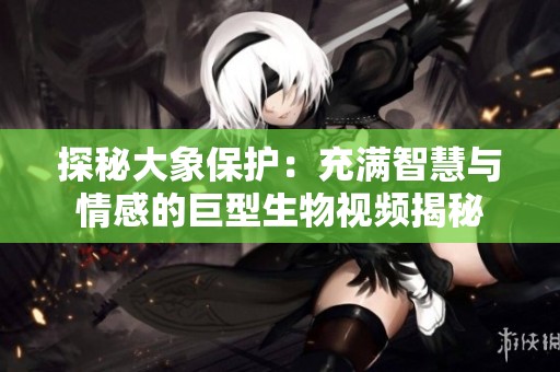 探秘大象保护：充满智慧与情感的巨型生物视频揭秘