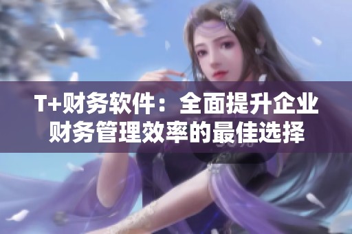 T+财务软件：全面提升企业财务管理效率的最佳选择