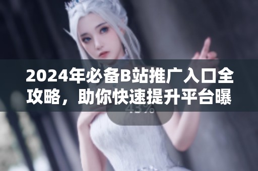 2024年必备B站推广入口全攻略，助你快速提升平台曝光率