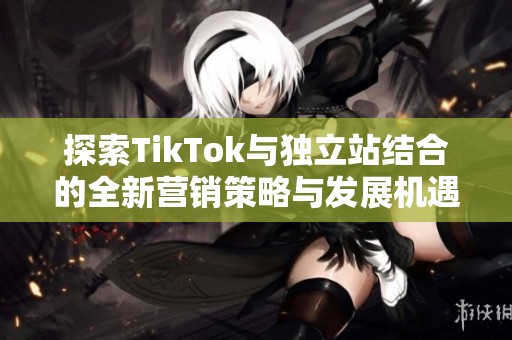 探索TikTok与独立站结合的全新营销策略与发展机遇