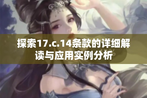 探索17.c.14条款的详细解读与应用实例分析