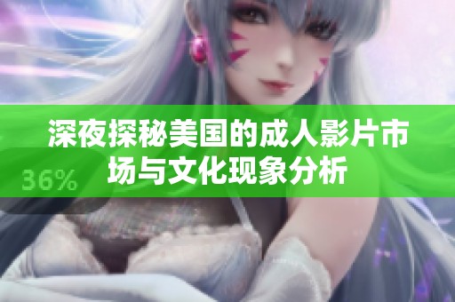 深夜探秘美国的成人影片市场与文化现象分析