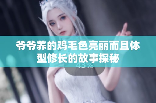 爷爷养的鸡毛色亮丽而且体型修长的故事探秘