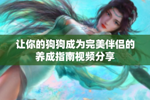 让你的狗狗成为完美伴侣的养成指南视频分享