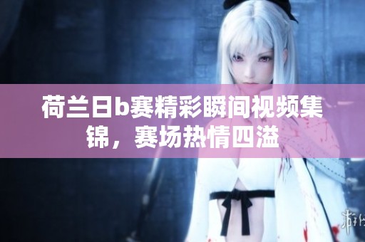 荷兰日b赛精彩瞬间视频集锦，赛场热情四溢