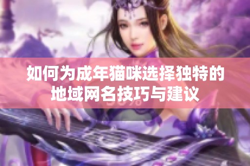 如何为成年猫咪选择独特的地域网名技巧与建议