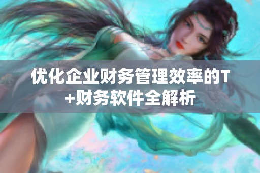 优化企业财务管理效率的T+财务软件全解析