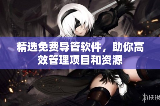 精选免费导管软件，助你高效管理项目和资源
