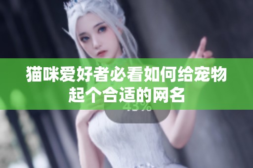 猫咪爱好者必看如何给宠物起个合适的网名