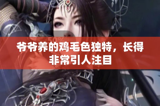 爷爷养的鸡毛色独特，长得非常引人注目