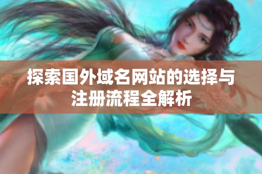 探索国外域名网站的选择与注册流程全解析