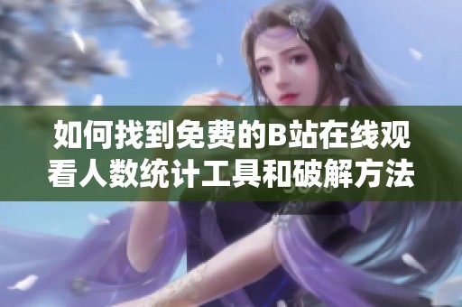 如何找到免费的B站在线观看人数统计工具和破解方法