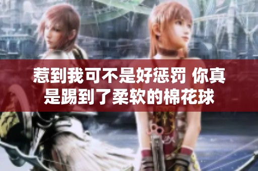 惹到我可不是好惩罚 你真是踢到了柔软的棉花球