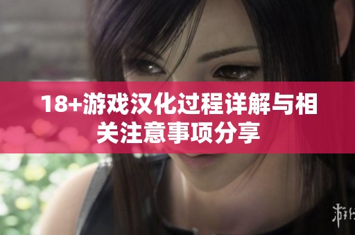 18+游戏汉化过程详解与相关注意事项分享