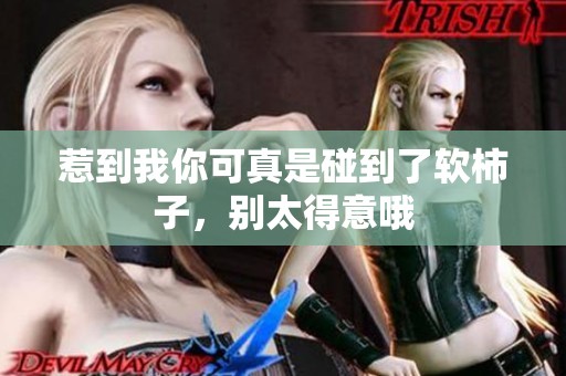 惹到我你可真是碰到了软柿子，别太得意哦