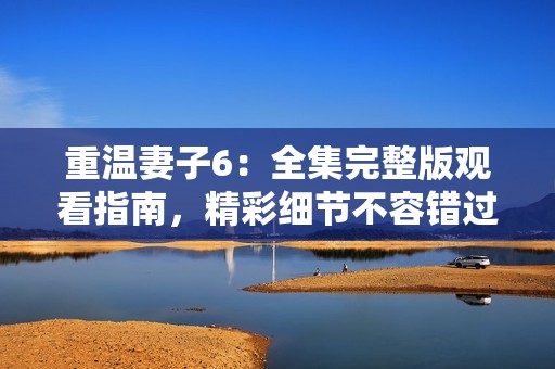 重温妻子6：全集完整版观看指南，精彩细节不容错过