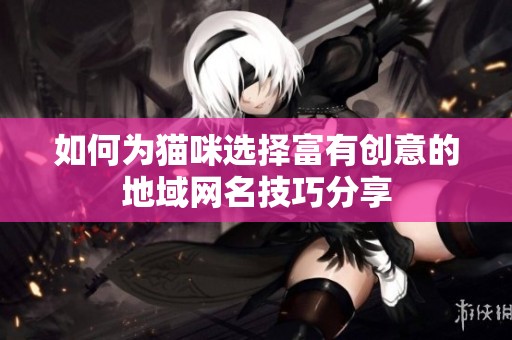 如何为猫咪选择富有创意的地域网名技巧分享