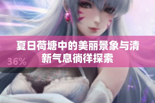 夏日荷塘中的美丽景象与清新气息徜徉探索