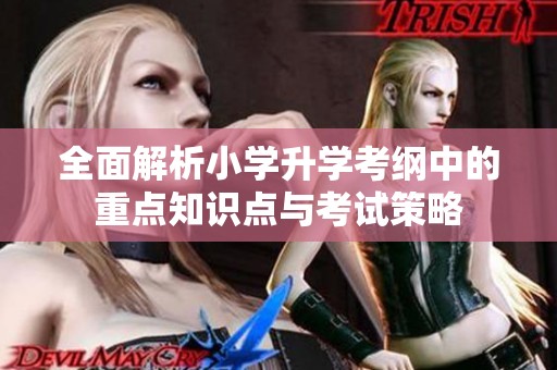 全面解析小学升学考纲中的重点知识点与考试策略