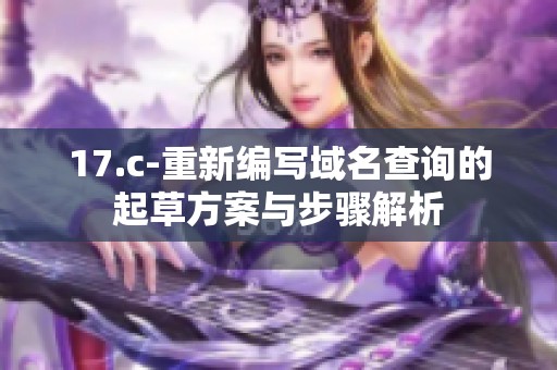 17.c-重新编写域名查询的起草方案与步骤解析