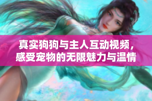 真实狗狗与主人互动视频，感受宠物的无限魅力与温情