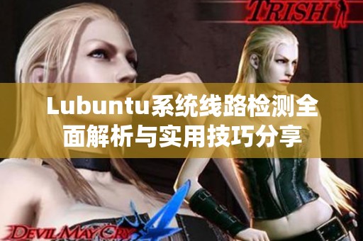 Lubuntu系统线路检测全面解析与实用技巧分享