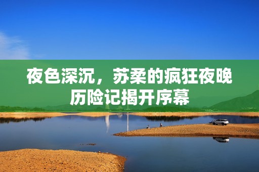 夜色深沉，苏柔的疯狂夜晚历险记揭开序幕