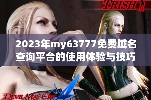 2023年my63777免费域名查询平台的使用体验与技巧分享