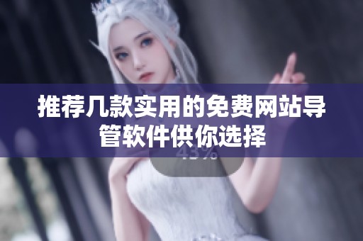 推荐几款实用的免费网站导管软件供你选择