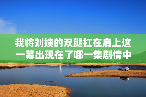 我将刘姨的双腿扛在肩上这一幕出现在了哪一集剧情中