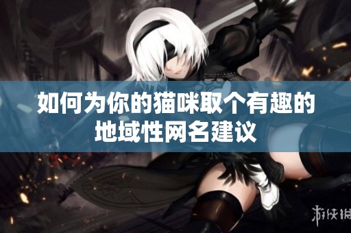 如何为你的猫咪取个有趣的地域性网名建议