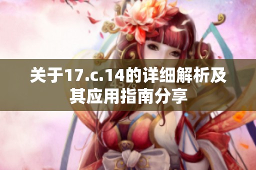 关于17.c.14的详细解析及其应用指南分享