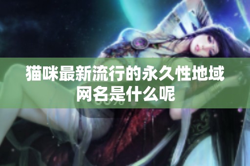猫咪最新流行的永久性地域网名是什么呢