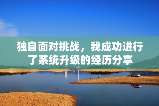 独自面对挑战，我成功进行了系统升级的经历分享