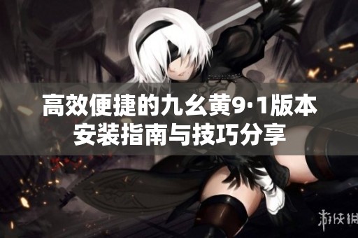 高效便捷的九幺黄9·1版本安装指南与技巧分享