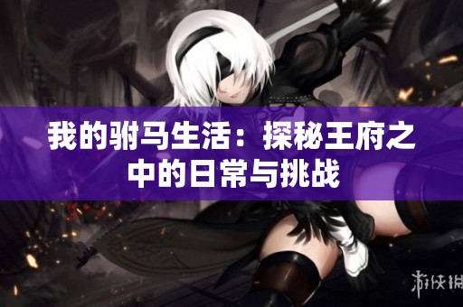 我的驸马生活：探秘王府之中的日常与挑战
