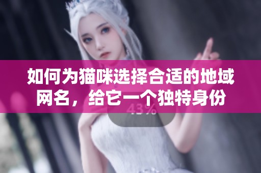 如何为猫咪选择合适的地域网名，给它一个独特身份
