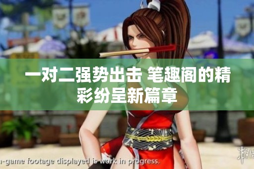 一对二强势出击 笔趣阁的精彩纷呈新篇章