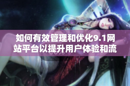 如何有效管理和优化9.1网站平台以提升用户体验和流量